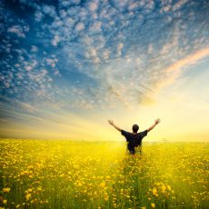 Willkommen bei der SonnenAllianz! Willkommen bei der SonnenAllianz!