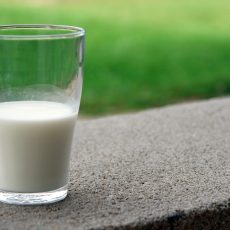 Laktoseintoleranz & Vitamin D