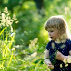 Wie wichtig ist die Vitamin D-Versorgung bei Kindern?