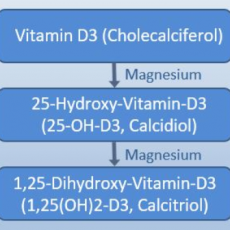 Magnesium – der Vitamin D-Aktivator