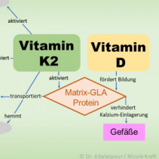 Vitamin K2 – der Knochenbooster und Gefäßreiniger