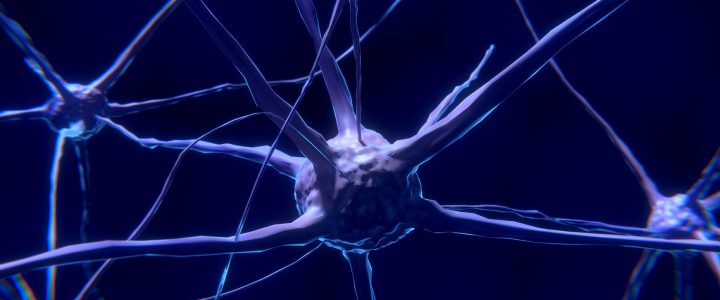Vitamin D schützt vor Multiple Sklerose