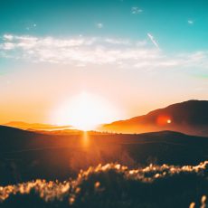 Zum Internationalen Tag der Sonne: Vortrag „Krebszellen mögen keine Sonne“ von Prof. Dr. Spitz