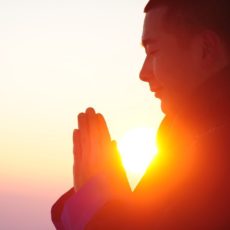 Vitamin D zur Krebs-Prävention und Therapie unverzichtbar